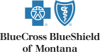 Blue Cross Blue Shield